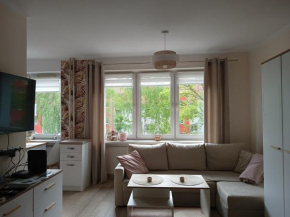 Apartament w Srebrnym Mieście